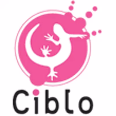 Elasticsearch: le moteur de recherche élastique pour tous