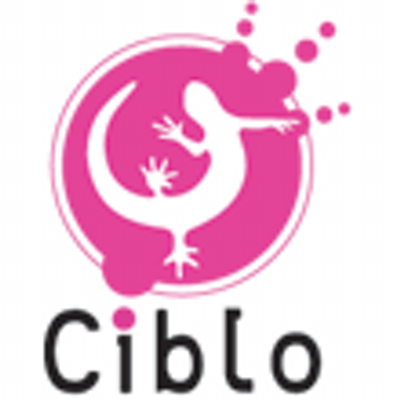 Elasticsearch: le moteur de recherche élastique pour tous