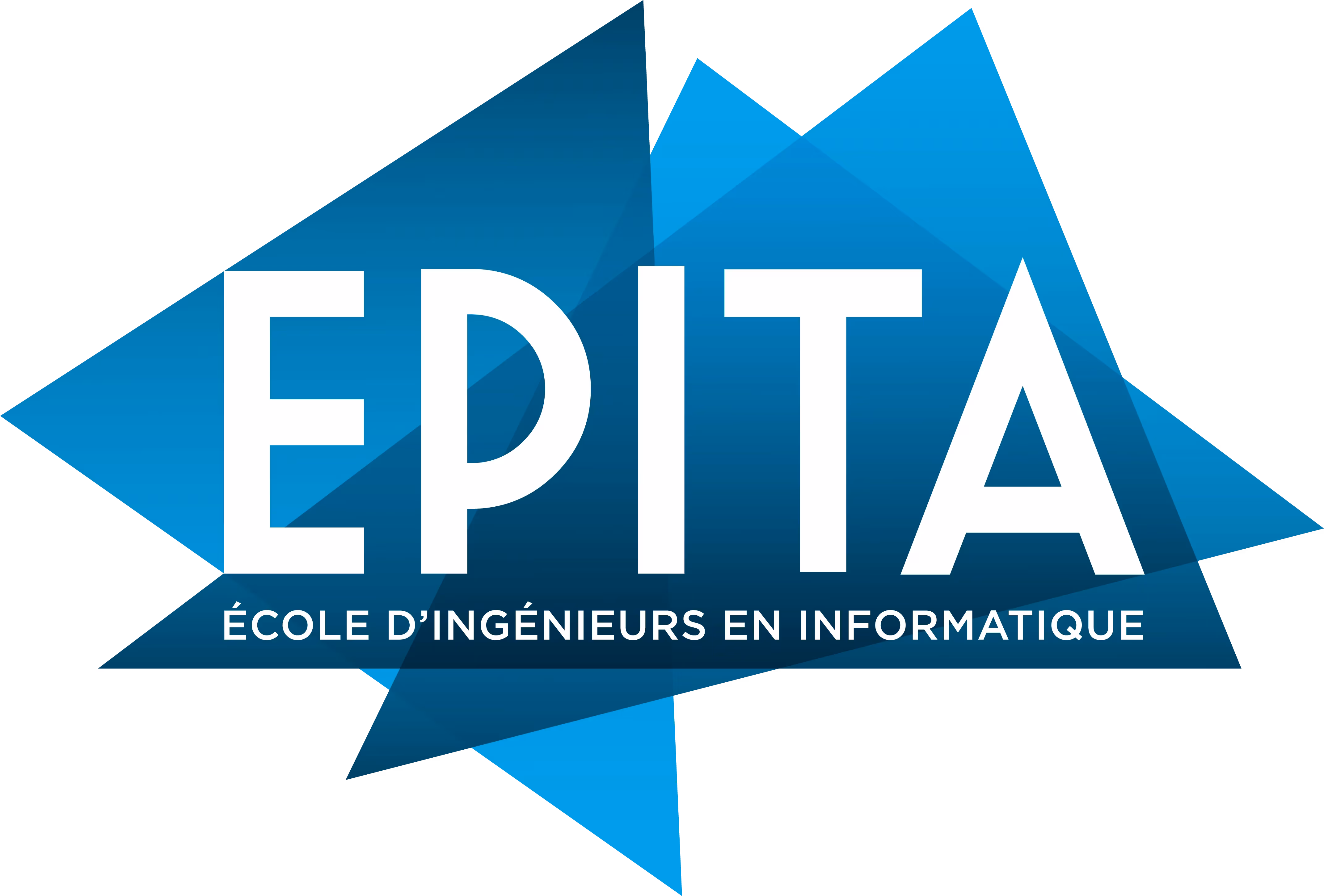 Elasticsearch: le moteur de recherche élastique pour tous